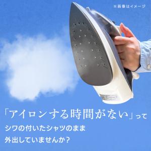 アイロン スチーム 強力スチーム 霧吹き機能 ...の詳細画像1