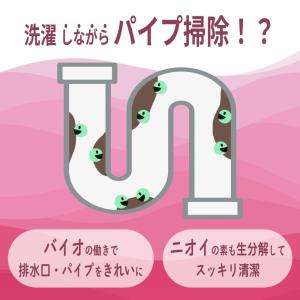 洗剤 業務用 洗濯洗剤 液体洗剤 緑の魔女 衣...の詳細画像3