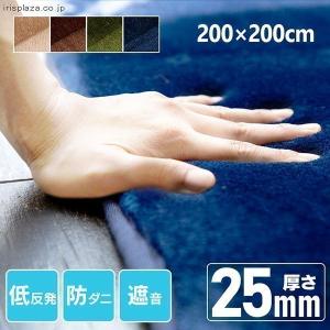 ラグ ラグマット おしゃれ 北欧 低反発 極厚 カーペット ラグカーペット 防ダニ 滑り止め 正方形 リビング 200×200 アイリスプラザ
