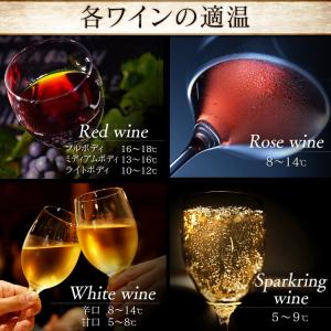 ワインセラー 8本 ペルチェ式 家庭用 小型 ...の詳細画像5