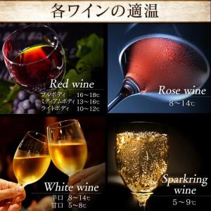 ワインセラー 18本 ペルチェ式 家庭用 2温...の詳細画像5