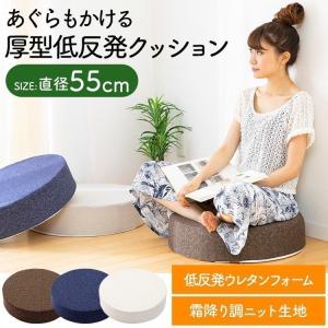 トゥルースリーパー（True Sleeper） お尻ラクラク座布団 腰痛 姿勢
