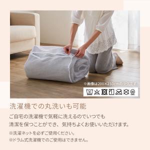 ラグ キッチンマット 洗える 洗えるラグ 玄関...の詳細画像4