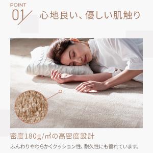 ラグ カーペット 洗える 洗えるラグ 円形 お...の詳細画像2