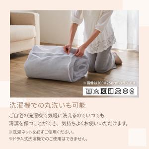 ラグ カーペット 洗える 洗えるラグ 円形 お...の詳細画像4