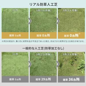 人工芝 ロール 2m×5m アイリスオーヤマ ...の詳細画像2