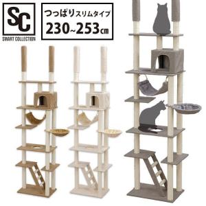 キャットタワー 突っ張り 猫 爪とぎ 猫タワー おしゃれ ハンモック キャットハウス 室内 おもちゃ CCCT-4060T アイリスオーヤマ｜アイリスプラザ Yahoo!店