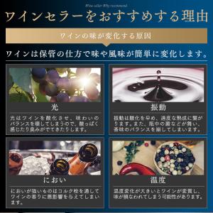 ワインセラー 12本 ペルチェ式 家庭用 小型...の詳細画像5