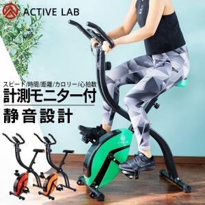 振動マシン エクササイズマグネバイク スピンバイク フィットネスバイク エクササイズ バイク フィットネスバイク 運動 ダイエット