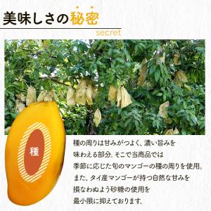 ドライマンゴー ドライフルーツ マンゴー ドラ...の詳細画像2