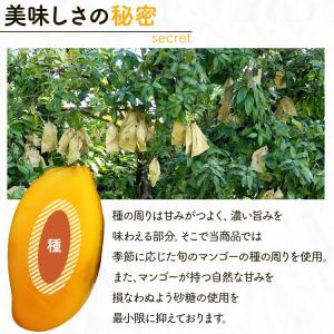 ドライマンゴー ドライフルーツ 保存食 不揃い...の詳細画像1