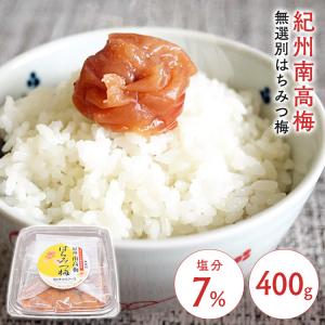 のりたま NP わさび のり さけ 丸美屋食品工業株式会社 : アイリス