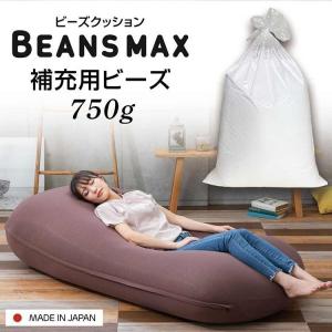 ビーズクッション 補充ビーズ 750g  ビーズクッション用 専用ビーズ 補充用 クッション用 クッション ビーンズMAX U字サポートMAX 詰め物 日本製 軽量 軽い