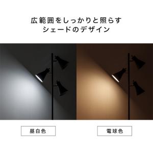 スタンドライト 北欧 おしゃれ フロアライト ...の詳細画像5