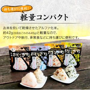 非常食 12食 防災食 アルファ米 携帯おにぎ...の詳細画像3