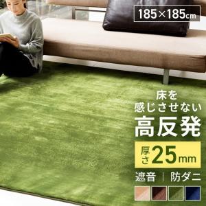 ラグ カーペット 2畳 厚手 おしゃれ 北欧 ラグマット 節電 省エネ 高反発 遮音 防ダニ 滑り止め付き 絨毯 マット 高反発ラグ 185×185cm