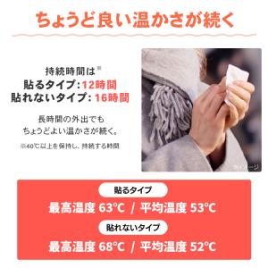カイロ 貼る 貼れない 120枚入 アイリスオ...の詳細画像5