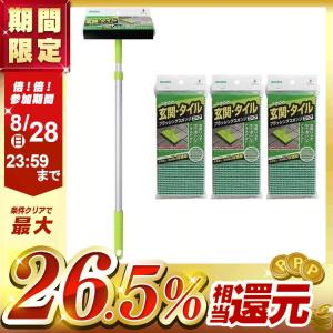 玄関タイルブラッシングスポンジF＋スペア3個セット  アズマ