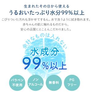 おしりふき 手口ふき おしり拭き 手口拭き お...の詳細画像5