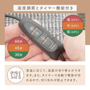 フットウォーマー USB 電気 洗える 足湯器...の詳細画像4