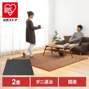 Panasonic（パナソニック） ホットカーペット 2畳 本体 電気カーペット