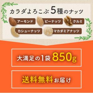 ミックスナッツ ナッツ 5種ミックスナッツ 有...の詳細画像2