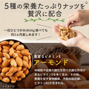 ミックスナッツ ナッツ 5種ミックスナッツ 有...の詳細画像4