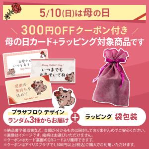入浴剤 60錠 60回分 重炭酸入浴剤 炭酸入...の詳細画像1