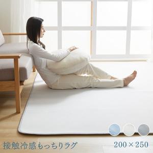 [5%OFFクーポン]ラグ カーペット 3畳 洗えるラグ ラグマット 接触冷感ラグ 200×250cm ひんやり カーペット 絨毯 敷物 抗菌 防臭 もっちり 滑り止め｜アイリスプラザ Yahoo!店