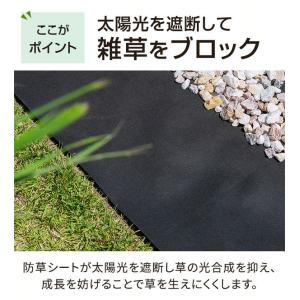 防草シート ロール 1m×10m 人工芝 シー...の詳細画像4