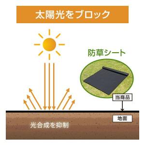 防草シート ロール 1m×10m 人工芝 シー...の詳細画像5