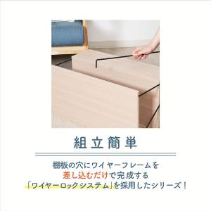 テレビ台 ローボード EZBO ワイヤー TV...の詳細画像3