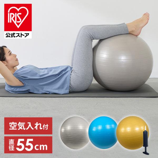 バランスボール 55cm ストレッチ マッサージ フィットネス 23-187 体幹トレーニング 筋ト...