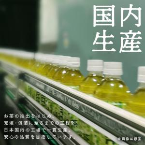 お茶 ペットボトル 500ml 24本 ジャス...の詳細画像3
