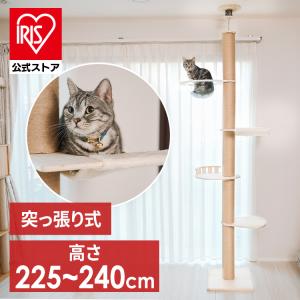 キャットタワー 木製 突っ張り 大型猫用 猫 爪...の商品画像