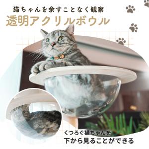 キャットタワー 木製 突っ張り 大型猫用 猫 ...の詳細画像2