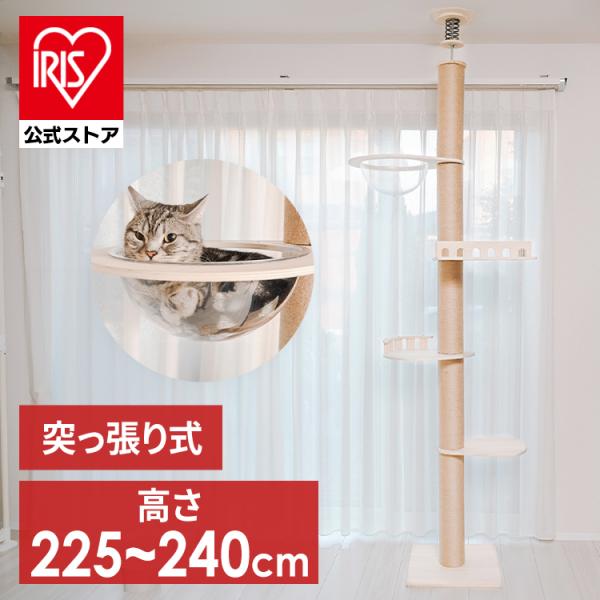 キャットタワー 木製 突っ張り 大型猫用 猫 爪とぎ 猫ベッド 猫タワー クリアボウル ベッド キャ...