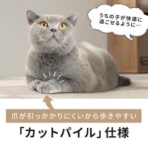 タイルカーペット ラグ 絨毯 20枚 カーペッ...の詳細画像1
