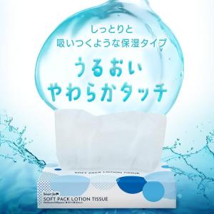 ティッシュ ソフトパック ティッシュペーパー ...の詳細画像1