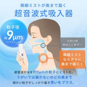吸入器 ポケット吸入器 ハンディタイプ アイリ...の詳細画像2