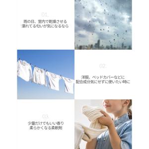 柔軟剤 ブーケガルニ 洗濯 衣類用 超高濃縮 ...の詳細画像5