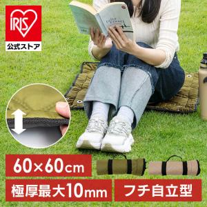 Carhartt カーハート ダブリューアイピー レジャーシート