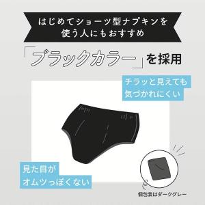 生理用品 ナプキン エリス ショーツ 昼・夜 ...の詳細画像3