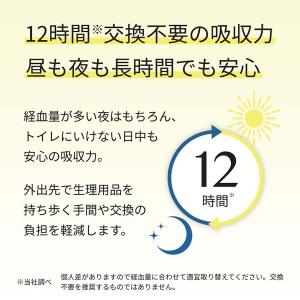 生理用品 ナプキン エリス ショーツ 昼・夜 ...の詳細画像5