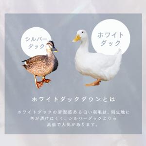 掛け布団 シングル 羽毛布団 洗える シングル...の詳細画像4