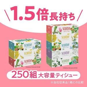 ティッシュ ティッシュペーパー 250組(50...の詳細画像2