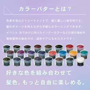 カラーバター ヘアカラー カラートリートメント...の詳細画像1