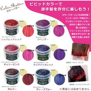 カラーバター ヘアカラー カラートリートメント...の詳細画像3