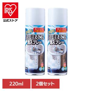 洗濯槽クリーナー 泡スプレー 220ml 2個セ...の商品画像