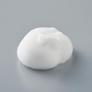 洗濯槽クリーナー 泡スプレー 220ml 2個...の詳細画像2